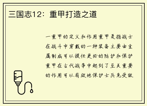 三国志12：重甲打造之道